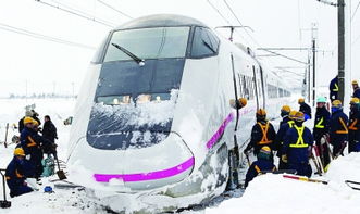 日本一新干线列车高速行驶途中两节车厢分离